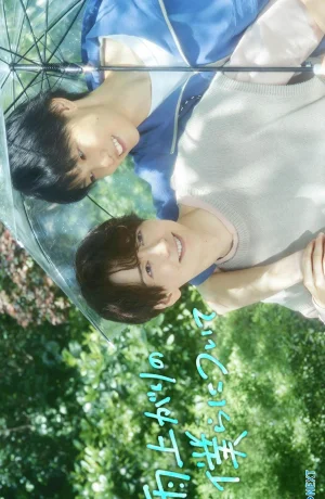 Дорама Останься со мной после дождя онлайн