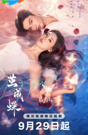 Дорама Спланированная любовь онлайн