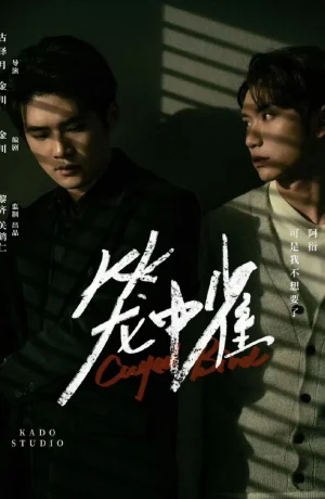 Дорама Птица в клетке онлайн